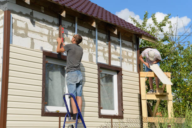 Best Siding Removal and Disposal  in St Elmo, IL